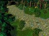 Abandoned Road.JPG