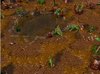 Water Hole.JPG