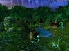 Forest Pond.JPG