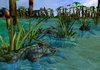 glades1.jpg glades1.jpg