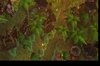 The Secret of Arthas Island 14.jpg