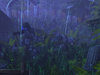 screen004.jpg