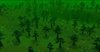 Dark Forest 3.jpg Dark Forest 3.jpg