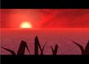 Sunset_On_Water.jpg
