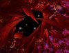 Black Hole.jpeg Black Hole.jpeg