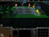 terran.jpg terran.jpg