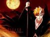 bleach.jpg
