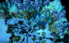 NorthIceheart 620Doodads.PNG