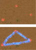 WALL.png WALL.png
