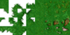 Lords_Grass.png