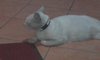 IMG_20161230_185351.jpg