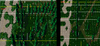 Forest-Roads!.png Forest-Roads!.png