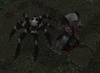spideraco.png
