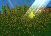 Crop Spirit.JPG