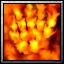 PREFireHand.jpg