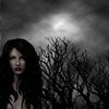 vamp_loading.jpg