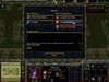 bug 1.JPG