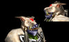 Shamanlich2test.jpg