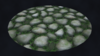 Ground_StoneyGrass_002.png