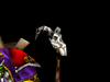 that.png