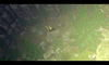 Sunrise.png