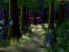 The Haunted Forest.jpg