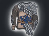 Armor7.jpg Armor7.jpg