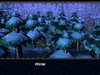 Winter..JPG