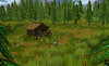 4 Seasons contest - summer 1.jpg