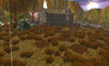 4 Seasons contest - autumn 2.jpg
