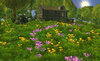 4 Seasons contest - spring 2.jpg