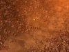 d2.jpg