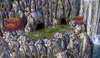 Pic7.png Pic7.png