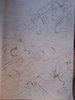 DSC01475.JPG