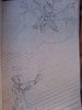 DSC01478.JPG