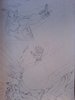 DSC01479.JPG