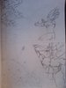 DSC01480.JPG