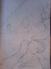 DSC01483.JPG