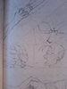 DSC01485.JPG