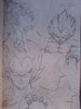 DSC01486.JPG
