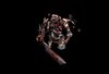 Death Elemental pic1.JPG