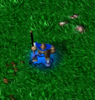 Web.PNG Web.PNG