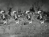 Skeletton 3.gif