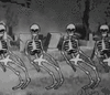 Skeletton 5.gif