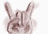 p1hand.jpg p1hand.jpg