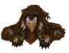 Druid of the Past.jpg