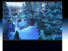 Terrain- SnowScape.jpg