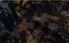 Screenie2.jpg Screenie2.jpg
