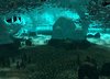 NouveauImagebitmap-26.jpg
