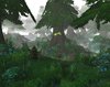 foggy rooty forest2.JPG